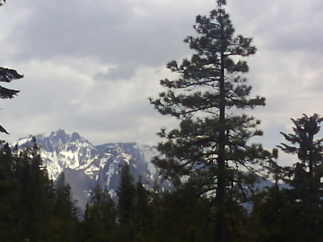 023 Sequoia NP Sierra Nevada 16th May.jpg